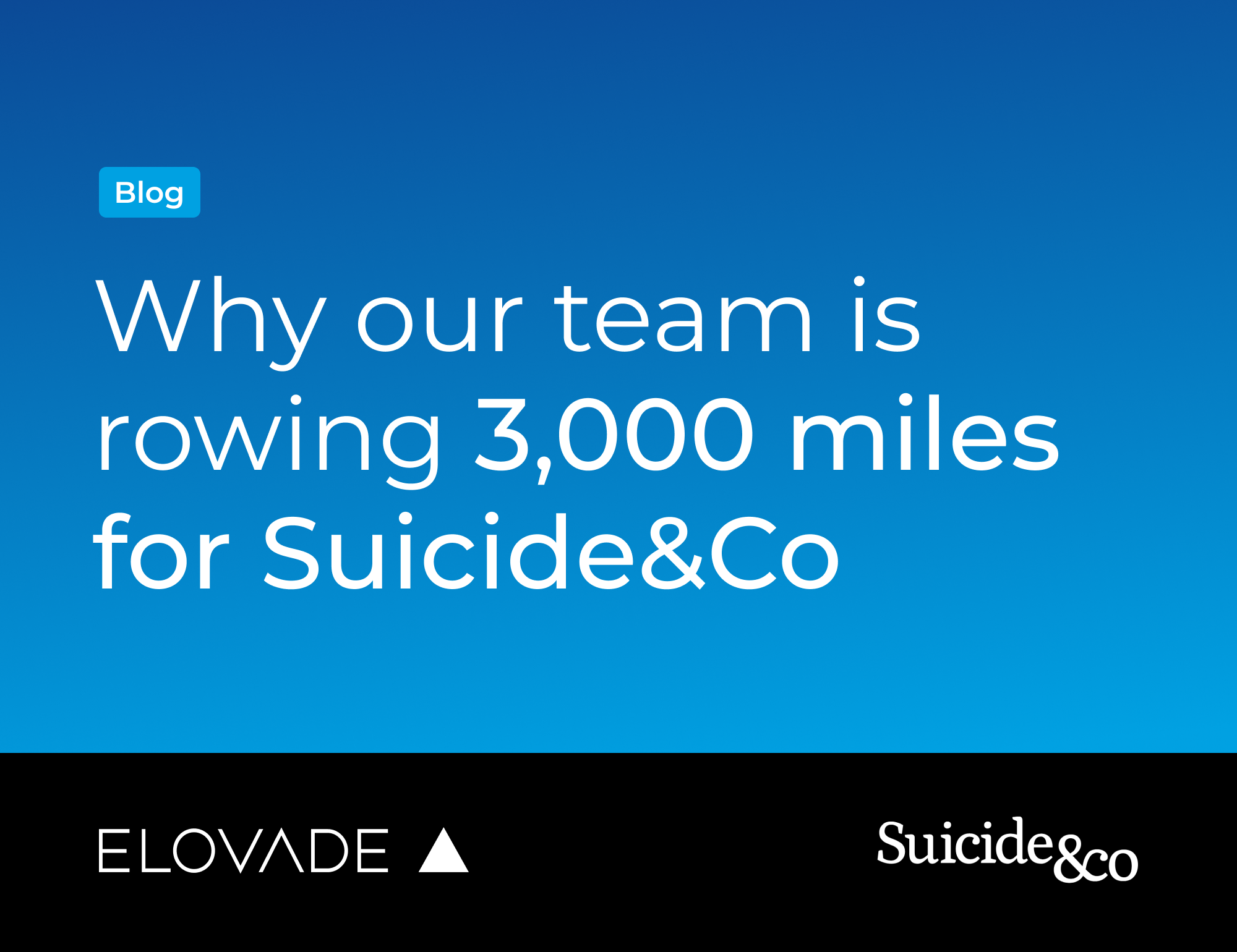 Why our team is rowing 3,000 miles for Suicide&Co